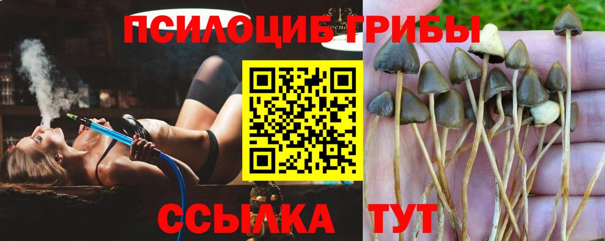 Псилоцибиновые грибы ЛСД Шадринск